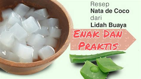 Cara Praktis Membuat Nata De Coco dari Lidah Buaya